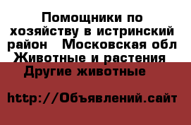 Помощники по хозяйству в истринский район - Московская обл. Животные и растения » Другие животные   